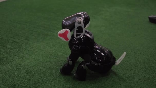 Programlanmış oyuncak köpek-robot. Etkileşimli akıllı evde beslenen hayvan. — Stok video