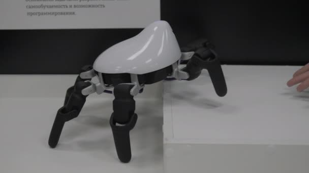 Robot Spider urca. Jucărie interactivă cu inteligență artificială . — Videoclip de stoc