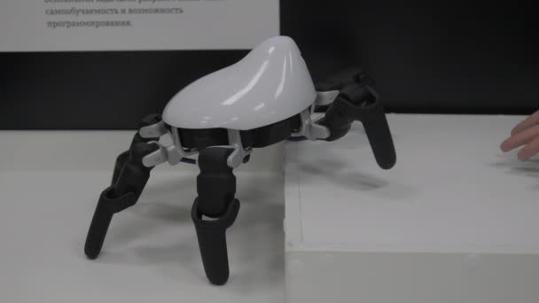 Robot Spider escalar. Brinquedo interativo com inteligência artificial . — Vídeo de Stock