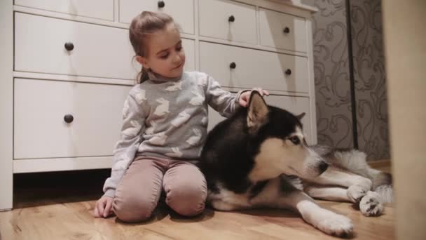 Niña y su perro husky siberiano blanco y negro con ojos azules. Una perra acariciada por la cabeza. Disparo en 4K — Vídeos de Stock