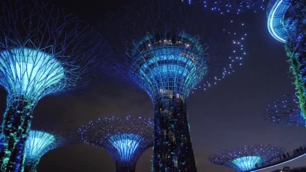Turystyczna Słynnej Nocy Pokaz Świetlny Jest Popularną Atrakcją Central Singapore — Wideo stockowe