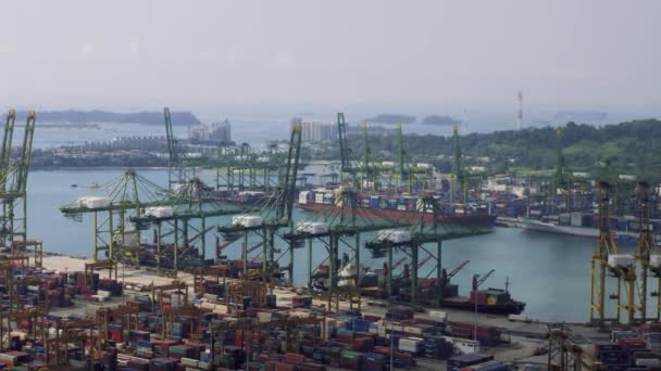 Madár szem panorámás kilátás-ból ázsiai legforgalmasabb kikötő. Kereskedelmi port of Singapore valós időben. Madártávlatból szemmel — Stock videók