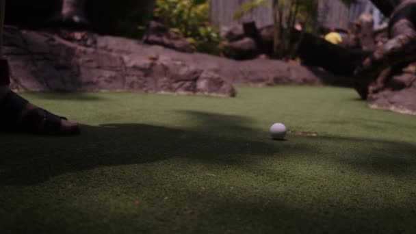 Mini golf oynayan genç bir kadın. Bacaklar çerçeveye. Orta atış. Deliğe topu vur — Stok video