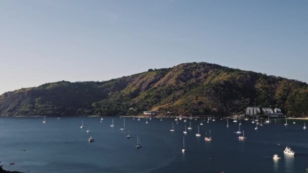 Plachetnice a jachty v zátoce ostrova — Stock video