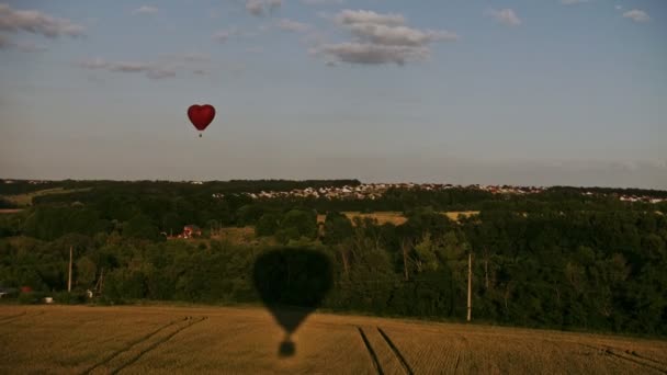 Balon unosi się nad lasem. Widok z lotu ptaka — Wideo stockowe