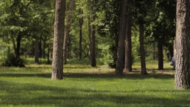 Mutlu çocukluk, tatlı kız mutlu bir şekilde koşup orman parkında zıpla. — Stok video