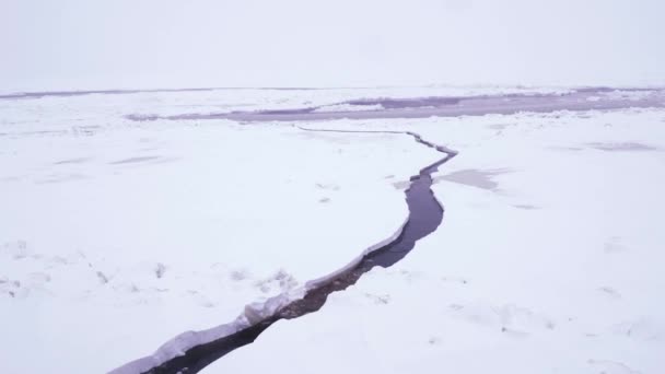 Vue de la glace sur l'océan Arctique avec la lumière du soleil — Video