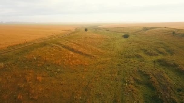 Політ Над Туманним Ранковим Полем — стокове відео