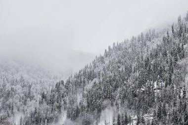 sis ve dağlar ile kış manzara 