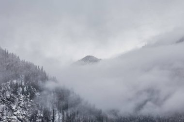 sis ve dağlar ile kış manzara 