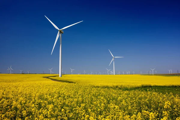 Wind turbines. Fields with windmills. Rapeseed field in bloom. Renewable energy. Protect the environment.