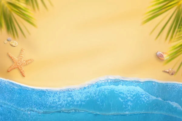 Lapos Laikus Strand Óceán Hullámai Palms Kagylók Tengeri Csillag Másolás — Stock Fotó