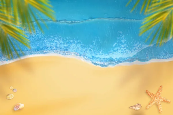 海滩从上面 棕榈和沙子在中间复制空间 沙子上的贝壳和海星 — 图库照片