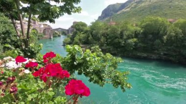 Nehir kenarından Mostar'daki eski köprüye ve Neretva Nehri'ne bak. Önünde çiçekler ve arka planda eski şehir var..