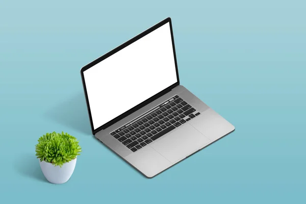 Laptopmodel Pastelblauw Bureau Met Plant Ernaast Geïsoleerd Scherm Voor Mockup — Stockfoto