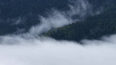 İnsansız hava aracı dağ sırtına yakın uçuyor. Yağmurdan sonra görünen sis buharlaşıyor.
