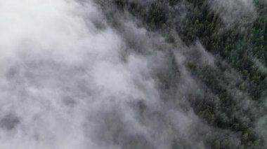 Hava aracı görüntüleri yoğun sis bulutlarının üzerinde uçuyor ve altında orman saklı.