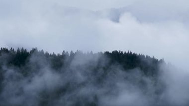 İnsansız hava aracı görüntüleri orman sırtından yükseliyor. Sis ve bulutlar ağaçların arasında sürükleniyor.