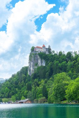 Slovenya 22 Haziran 2024 'te, Slovenya' nın göl ve ormanın üzerindeki yüksek kayalık kayalık kayalıklarda, popüler Sloven turizm beldesi