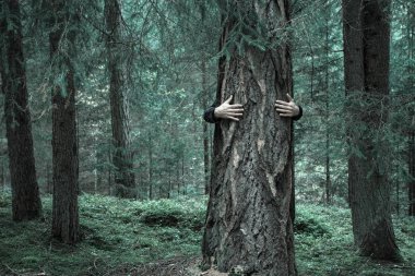 ormanda bir ağaç sarılma bir çocuk