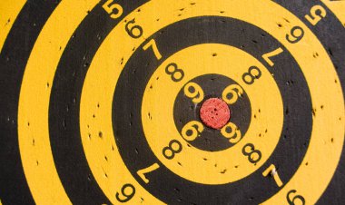 çapraz kullanılan bir dart tahtası görünümünü