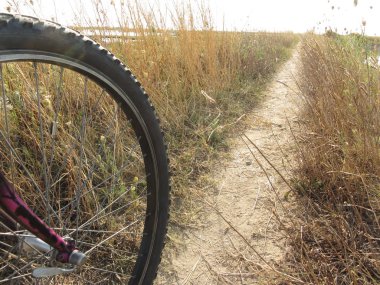 Venedik lagün güneşli gün Bisiklete binme