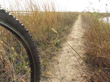 Venedik lagün güneşli gün Bisiklete binme