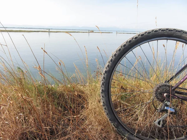 Venedik lagün güneşli gün Bisiklete binme