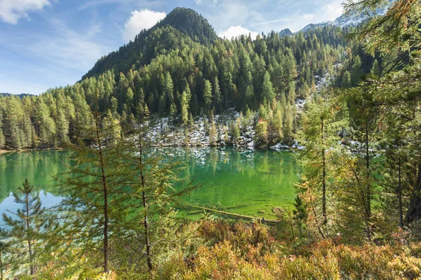 Lago Natural Montaña Escondido Entre Los Bosques Los Apls Italianos — Foto de Stock