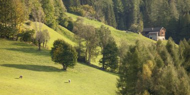 Sonbahar, bir dağ mera üzerinde günbatımı ışıkları