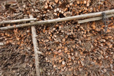 Mükemmel istiflenmiş çam ağacını arka plan olarak