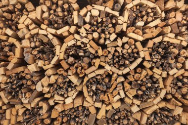 Mükemmel istiflenmiş çam ağacını arka plan olarak