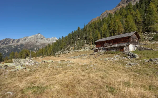 Kapalı bir cowshed önünde bir dağ çayır, sonbahar