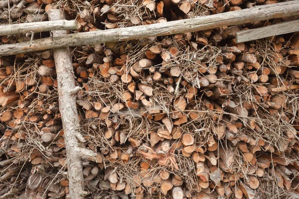 Mükemmel istiflenmiş çam ağacını arka plan olarak