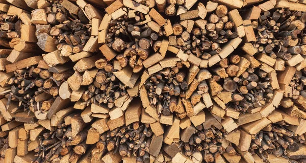 Mükemmel istiflenmiş çam ağacını arka plan olarak