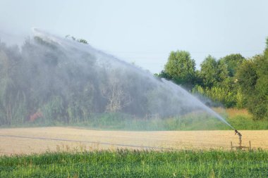 Yaz aylarında tarımda otomatik sulama