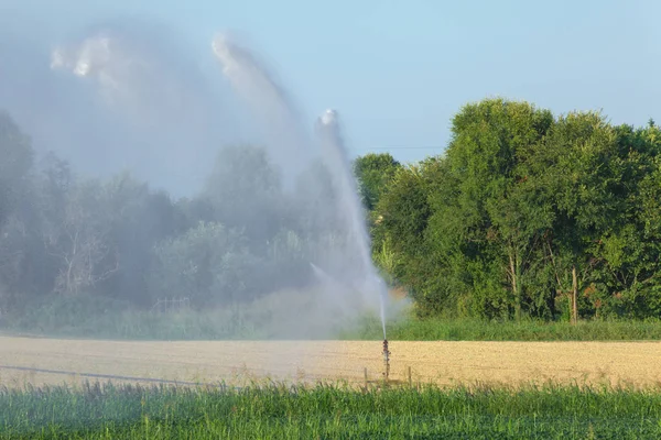 automated irrigation in agriculture in summer