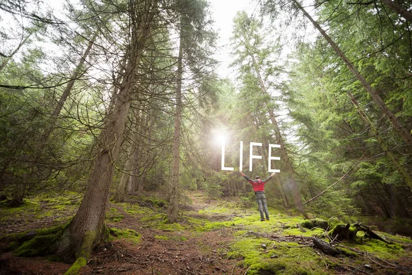 Känslomässiga Scener Man Inuti Woods — Stockfoto