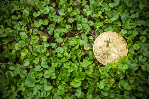 criptocurrency güç tüketim sustainnability