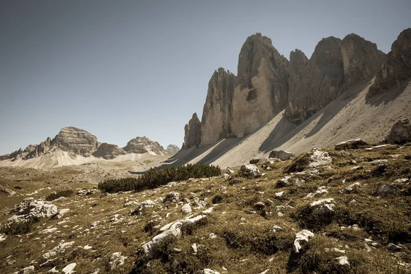 Tre Cime Lavaredo Suo Ambiente Una Giornata Estiva — Foto Stock