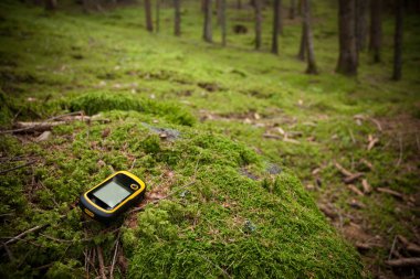 bir gps ile orman doğru pozisyonda bulma