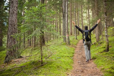ormanda uzun bir yol yürüme