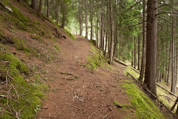 Seul Sentier Montagne Divise Deux Directions Différentes Est Jour Nuageux — Photo