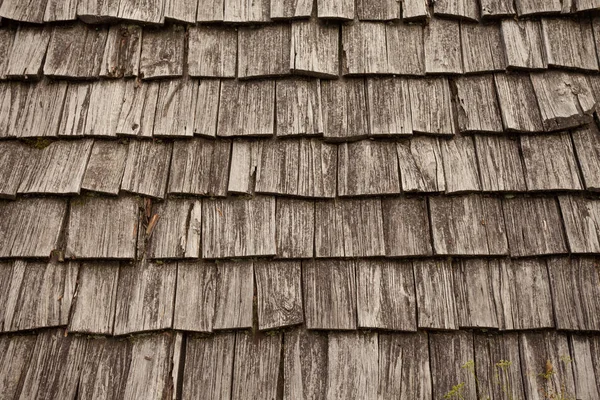 Pannelli Legno Pino Naturale Tetto Legno Una Stalla Montagna — Foto Stock