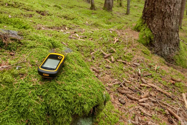 Mit Gps Die Richtige Position Wald Finden — Stockfoto