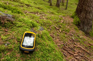 bir gps ile orman doğru pozisyonda bulma
