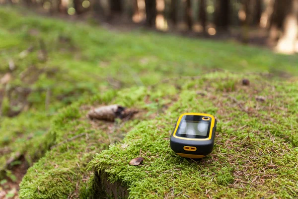 Finding Right Position Forest Gps — Stock Photo, Image