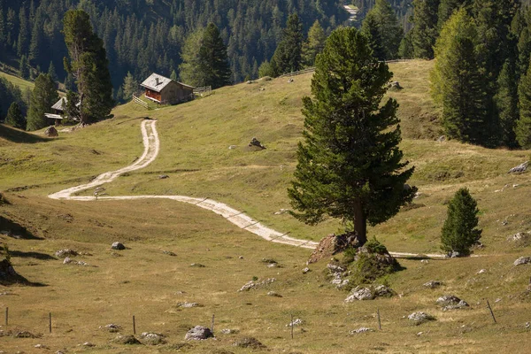 Alter Heuboden auf einer Weide in Val di Funes im Herbst — Stockfoto