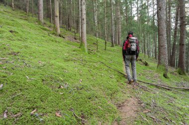 Bulutlu bir günde ormanda tek başına yürüyen bir yürüyüşçü.