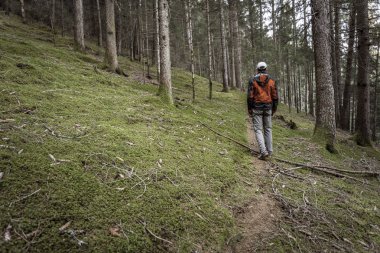 Bulutlu bir günde ormanda tek başına yürüyen bir yürüyüşçü.
